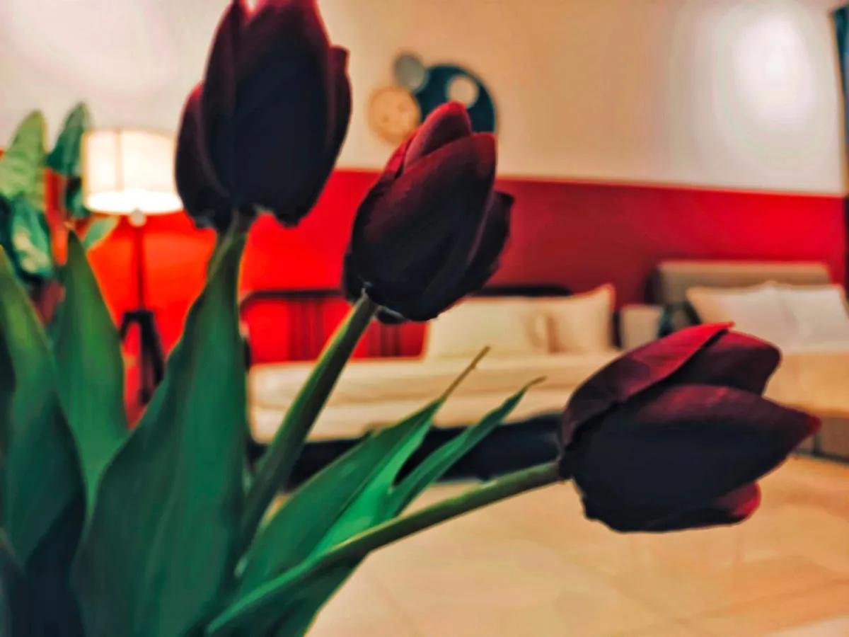 New Georgetown Stylist 2Br Homestay For 10Pax 无敌美景两房民宿 Beacon Executive Suite 0*, Τζωρτζ Τάουν Μαλαισία